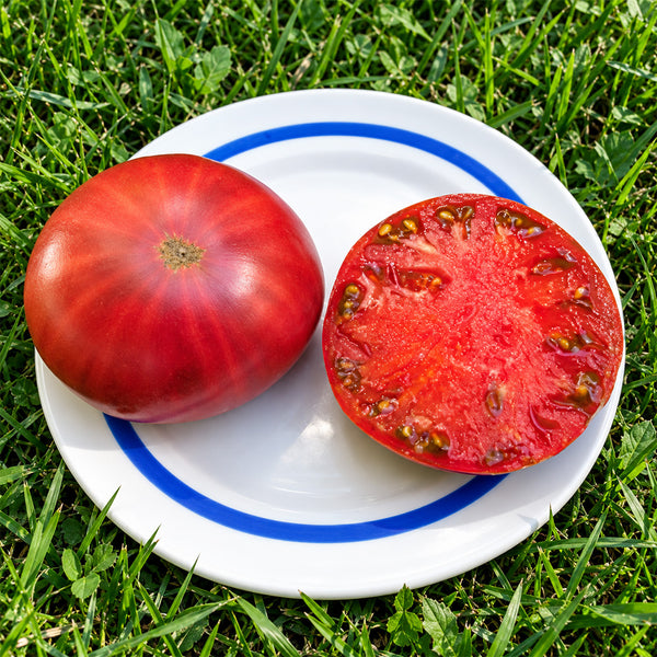 296 Hunk Papa Tomato, 5 Seeds
