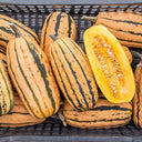 Honey Boat Squash, 5-10 Seeds
