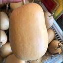 'Little Winter Melon' Gourd, 10 Seeds