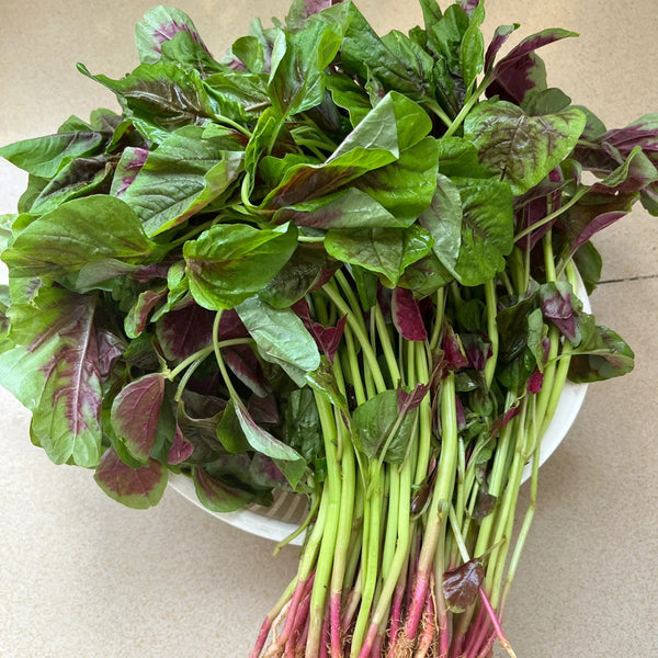 Pointed-Leaf Red Amaranth Seeds, 10g