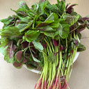 Pointed-Leaf Red Amaranth Seeds, 10g