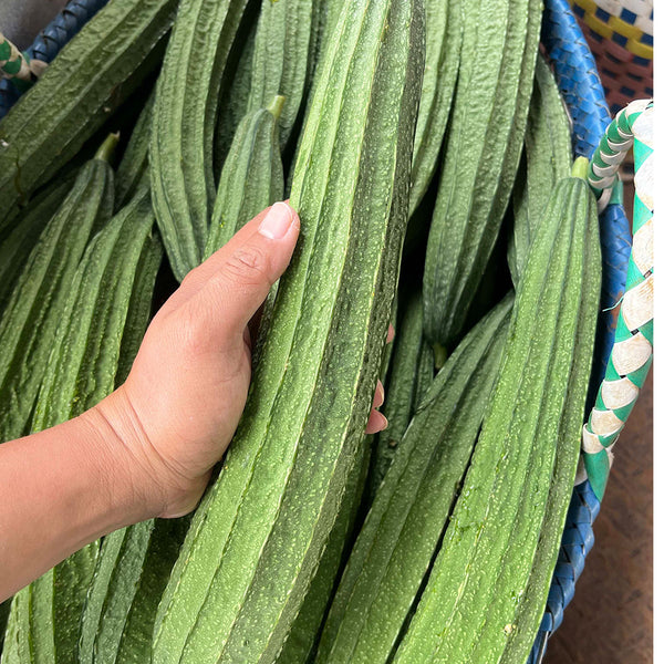 Traditional Angled Luffa Seeds, 5g