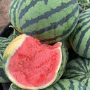"Bingchuan Meidu" Watermelon Seeds, 20 Seeds