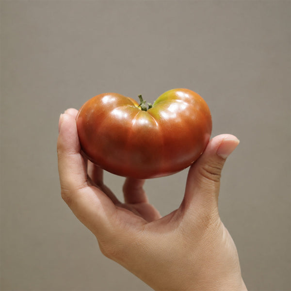 172 Dwarf King Aramis Tomato, 5 Seeds