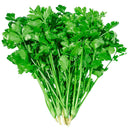 Farmer's Small-Leaf Cilantro Seeds, 50g