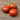 451 Dwarf Maura's Cardinal Tomato, 5 Seeds