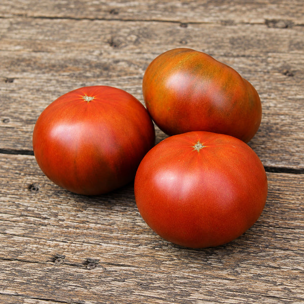 451 Dwarf Maura's Cardinal Tomato, 5 Seeds