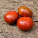 451 Dwarf Maura's Cardinal Tomato, 5 Seeds
