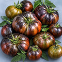 114 Marsha's Starfighter Beefsteak Tomato, 5 Seeds