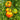 490 Grandma's Honey Tomato, 5 Seeds