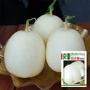 Baisha Honey Melon Seeds, 2g