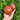 329 Black Heart of America Tomato, 5 Seeds