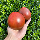 329 Black Heart of America Tomato, 5 Seeds
