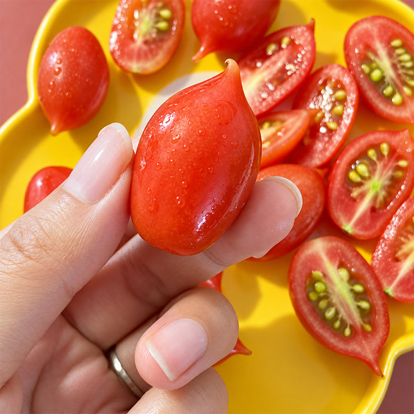 402 Mini San Marzano Tomato, 5 Seeds