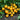 14 Amber Cherry Tomato, 5 Seeds