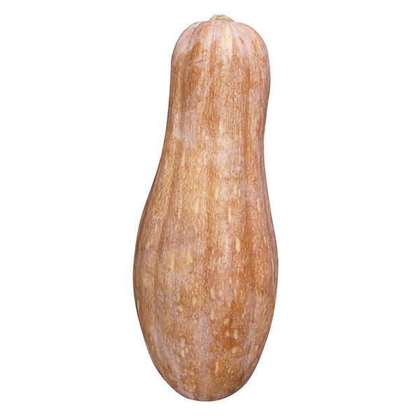 Mibao Pumpkin Seeds, 10g