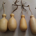 Flower Bottle Gourd, 10 Seeds