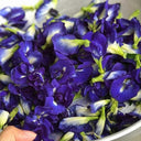 Butterfly pea Seeds, 50 Seeds
