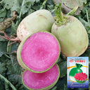 Beijing Mantanghong Radish Seeds, 10g