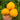 950 Golden Lotus Tomato, 5 Seeds