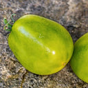 27 Queen Aliquippa Tomato, 5 Seeds