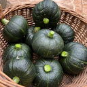Tianbei No.6 Pumpkin, 50 Seeds