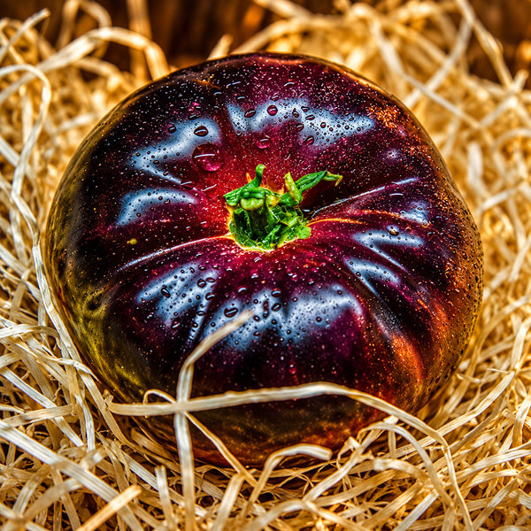581 Mar Azul Tomato, 5 Seeds
