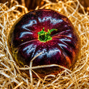 581 Mar Azul Tomato, 5 Seeds