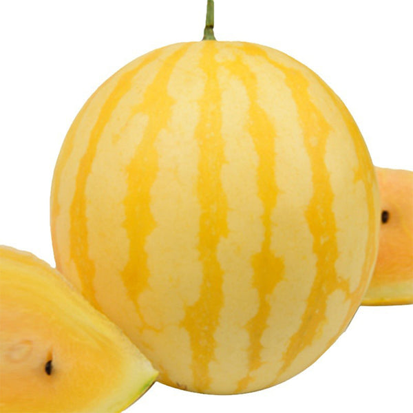 'Golden Baby' Watermelon Seeds