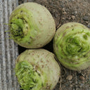 'Roundish 65' Root Mustard Seeds, 10g