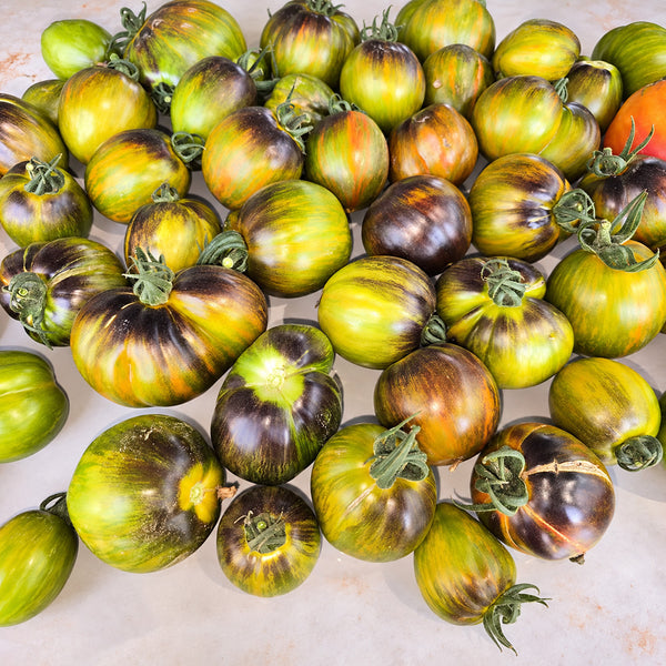 201 Gohua Lightning Tomato, 5 Seeds