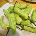 White Wrinkled Xiaomila Chili Pepper Seeds, 1800 Seeds
