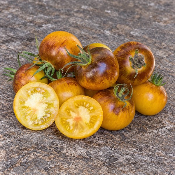 358 Edith Bernhard Tomato, 5 Seeds