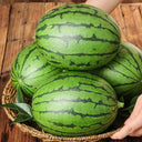 'Crimson Jewel' Red Flesh Watermelon Seeds, 200 Seeds