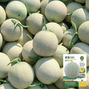 Dumi 101 Muskmelon Seeds, 500 Seeds