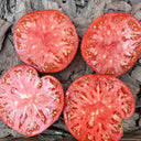 Red Brandywine Beefsteak Tomato, 10 Seeds