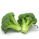 Japanese Broccoli Seeds, 100 Seeds