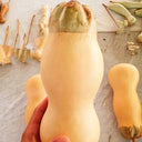 Small Lotus-head Gourd, 10 Seeds