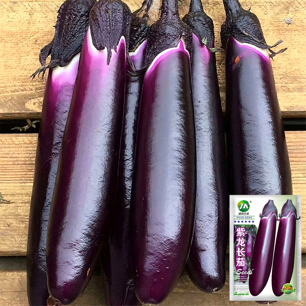 'Purple Dragon' Long Eggplant Seeds