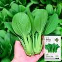 Jingyan Organic Pak Choi