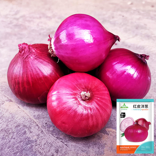 Red Onion Seeds