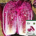 Jingyan Red Napa Cabbage Seeds