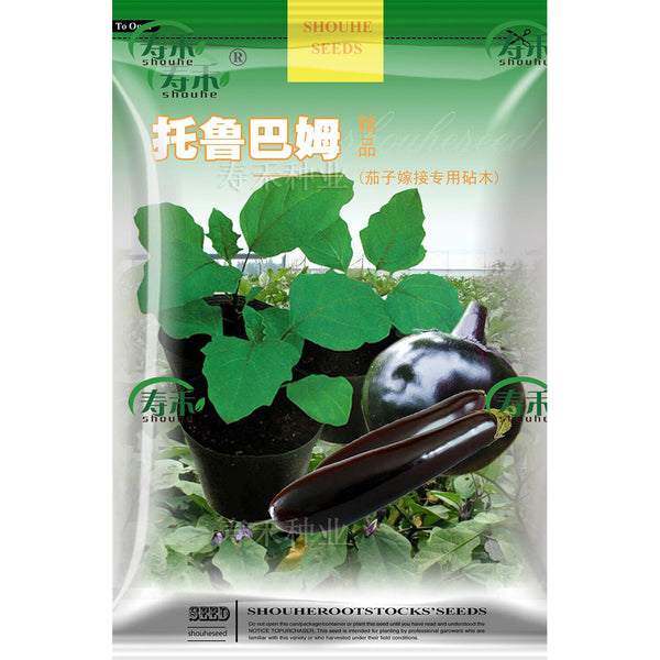 YQ1130 Japan Eggplant Rootstock Seeds