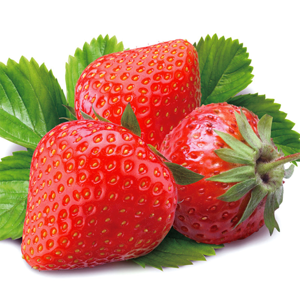 'Medelet' Red Strawberry Seeds