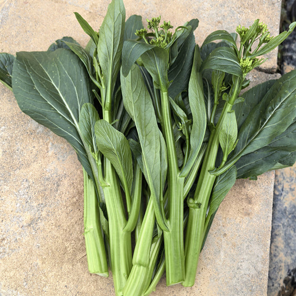 Meiqi No.1 Sweet Choy Sum Seeds, 10g