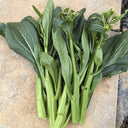 Meiqi No.1 Sweet Choy Sum Seeds, 10g