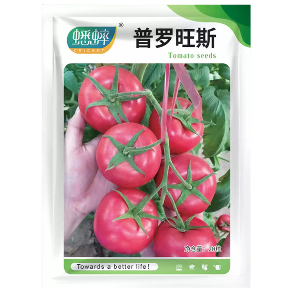 Provence Tomato Seeds, 20 Seeds