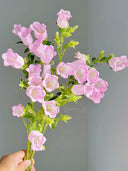 Canterbury Bells, Pink