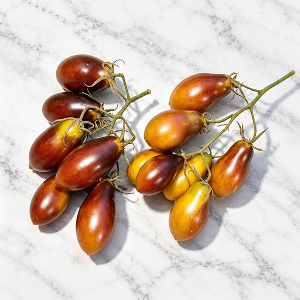 1147 Rebela's Earrings F8 Tomato, 5 Seeds