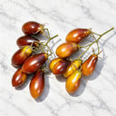 1147 Rebela's Earrings F8 Tomato, 5 Seeds